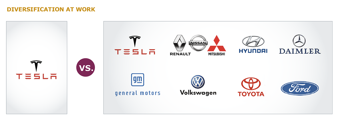 Diversification at Work - Tesla